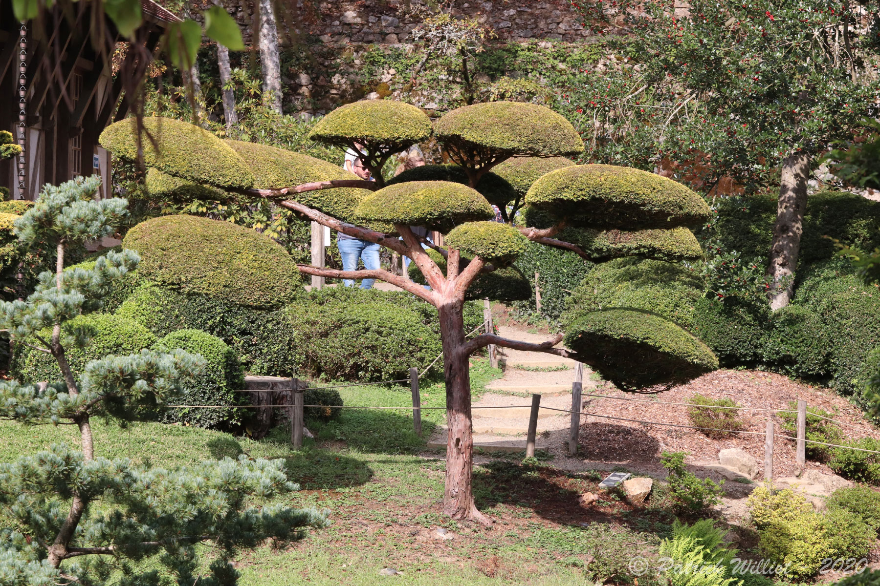 Parc Oriental, Maulevrier